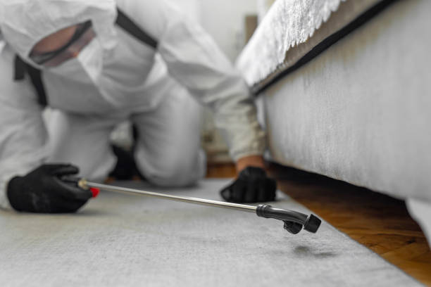 Professional Pest Control technician working in Cape Charles, VA