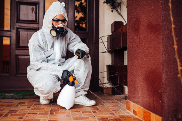 Reliable Cockroach Control contractor in Cape Charles, VA by Nex Pest Control