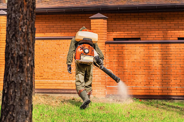 Trusted Termite Control service in Cape Charles, VA - Nex Pest Control